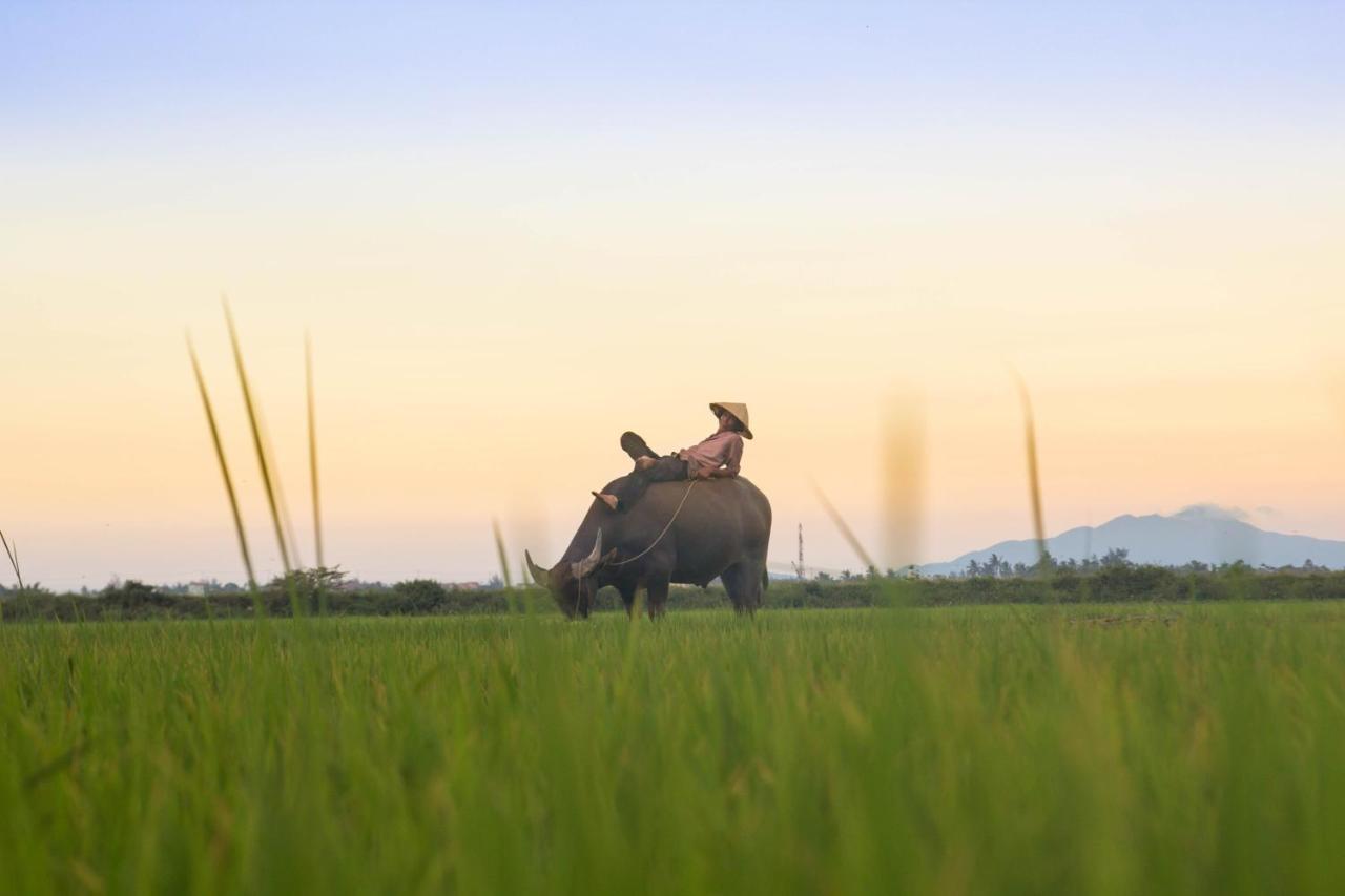 Hawal Boutique Villa ฮอยอัน ภายนอก รูปภาพ